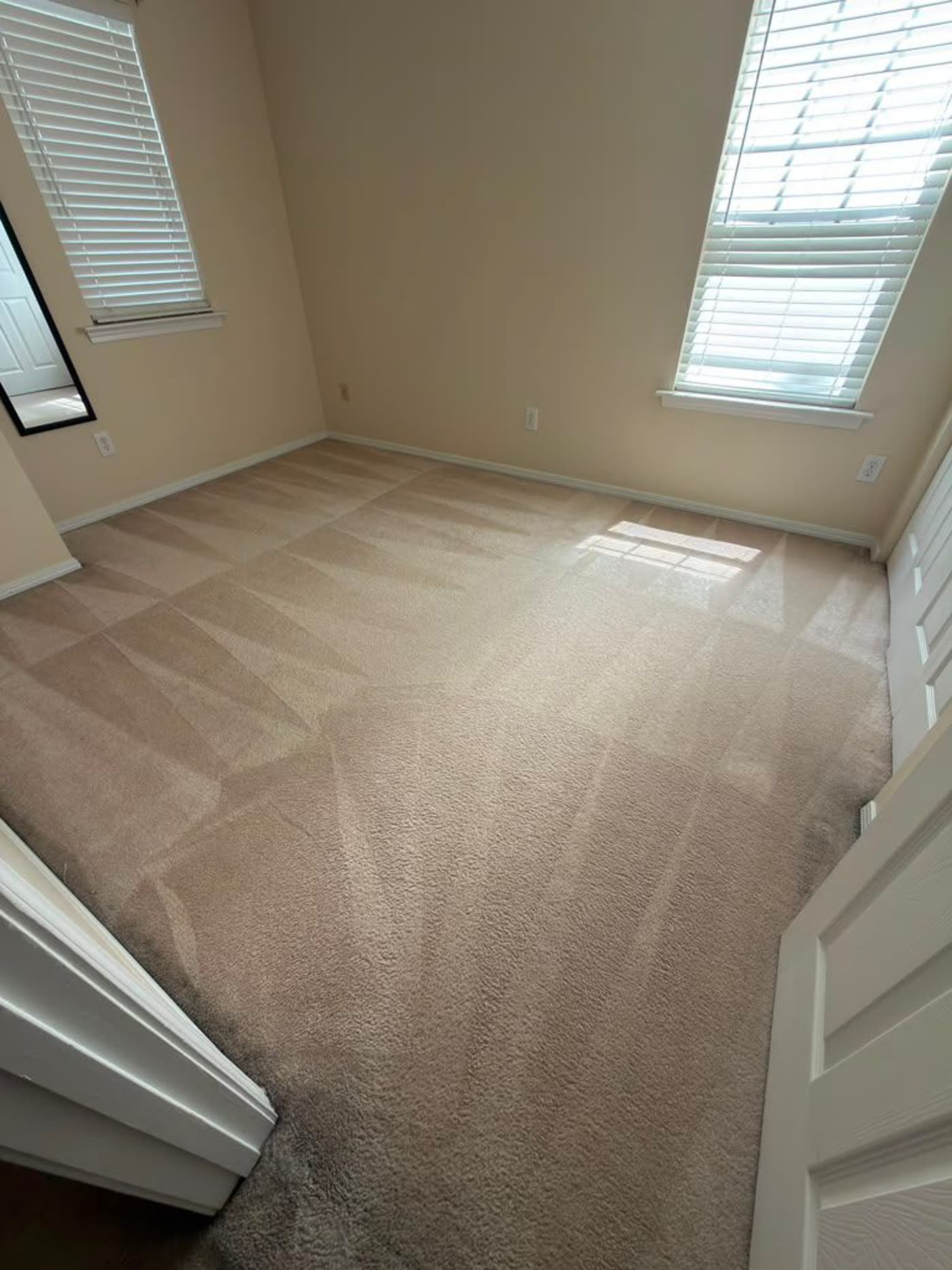 A sunlit bedroom with freshly cleaned carpet showing crisp extraction lines