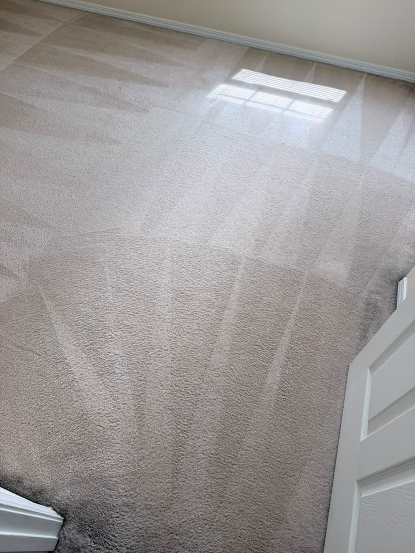 Close-up of fresh carpet extraction lines under a ceiling vent