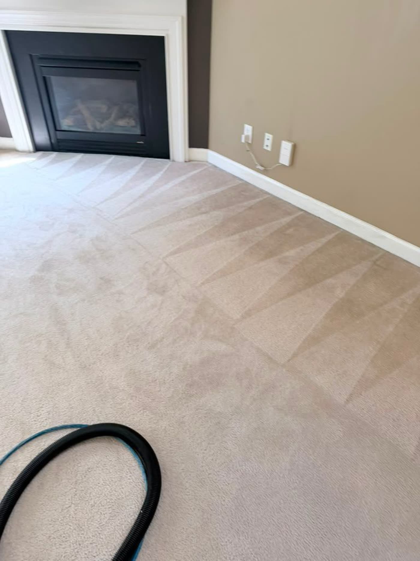 Living room carpet mid-cleaning, half still soiled and half lifted clean in a fan pattern, hose visible